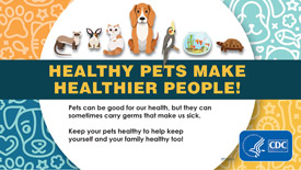 How To Stay Healthy Around Pets