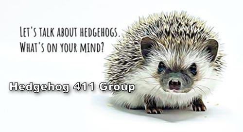 Hedgehog 411 Group