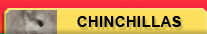 Chinchillas