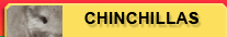 Chinchillas