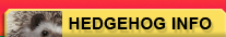 Hedgehogs