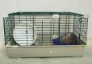 Cages