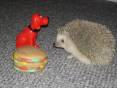 Toys