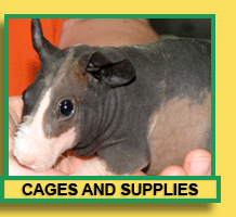 Skinny Pig Cages and Supplies