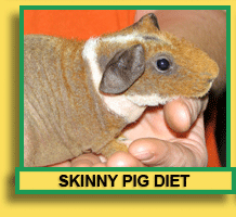 Skinny Pig Diet