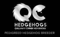 Quilliam’s Corner Hedgehogs Logo
