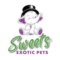Sweets Exotic Pets Logo