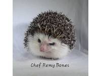 Chef Remy Bones