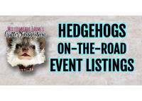 photo of hedgehog for sale