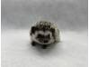 photo of hedgehog for sale
