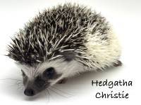Hedgatha Christie
