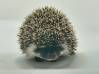 photo of hedgehog for sale