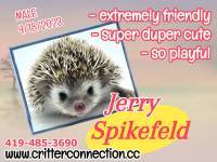 Jerry Spikesfeld