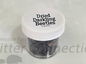 5g Darkling Beetles 