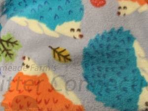 Colorful hedgehogs & leaves