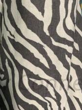 Gray Zebra