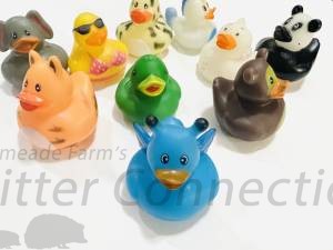 1 Random Rubber Ducky - designs vary