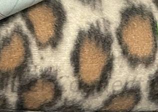 Tan cheetah 