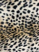 Wild Leopard 