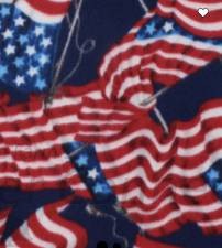 American Flags Flying 