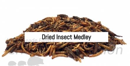 Dried Insect Medley