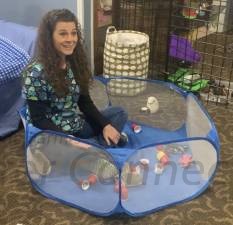 Collapsible Playpen