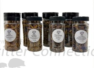 Freeze Dried Insects