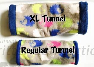 Regular Tunnel