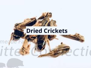 Dried Crickets