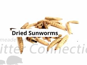 Dried Sunworms