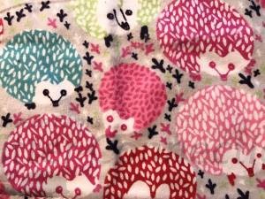 Colorful Hedgies