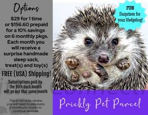 Prickly Pet Parcel