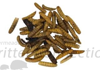 Dried Black Soldier Fly Larvae