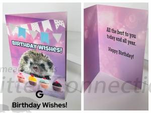 G - Birthday Wishes