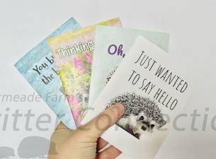 Hedgehog Greeting Card