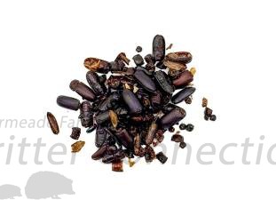 Dried Darkling Beetles