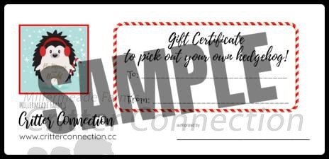 Hedgehog Adoption Gift Certificate