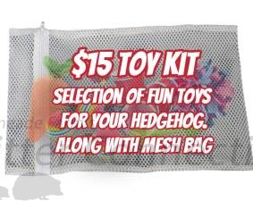 $15 Toy Kit