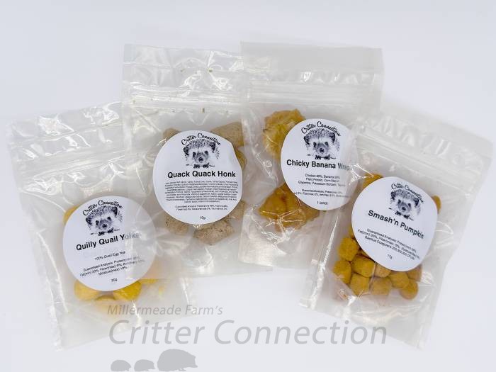 Hedgie Healthy Treats